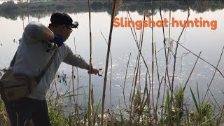 СТРЕЛЬБА ПО КАРПУ С РОГАТКОЙ. SLINGSHOT FISHING.