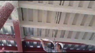 Proyectado mecánico de material ignífugo.