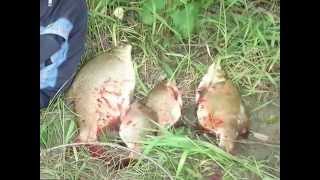 Рыбалка на пенопласт. Раскрою секреты