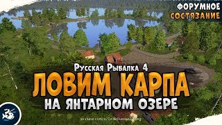 Янтарное озеро • Ловля карпа • Русская Рыбалка 4