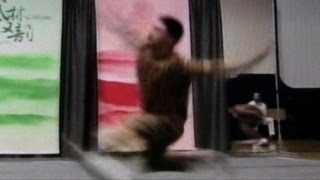 Kung Fu Fighting Tiger Style Karate