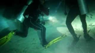 Alimatha House Reef Notturna del 22.2.2012 ore 18.40 Maldive