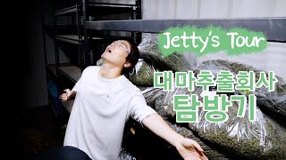 보건복지부가 위험하다고 한 THC 액상대마 대마 공장 내부를 확인하다