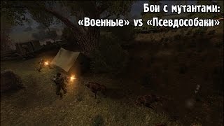 Сталкер | Бои с мутантами | «Военные» vs «Псевдособаки»