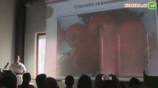 Кантара F1 огурец (Rijk Zwaan)