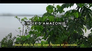 Voix d'Amazonie, un film de Pierre Bayle & Pascal Dupont