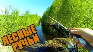 Рыбалка на торфяном ручье весной! Красота природы! Владимирская тайга!