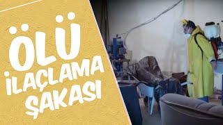 Ölü İlaçlama Şakası | Mustafa Karadeniz