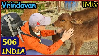 ИНДИЯ Любимый ВРИНДАВАН. Едем греться на ЮГ