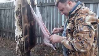 Забой кролика   18+