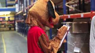 Animals in the Heelys warehouse