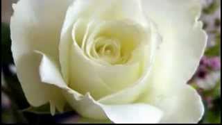 MARIA BETHANIA " SEGREDO "
