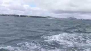 Рыбалка в Новой Зеландии Fishing in New Zealand