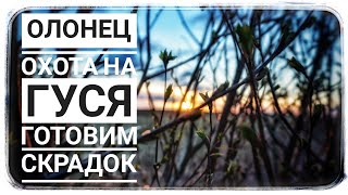 Олонец Карелия. Готовим скрадок. Охота на гуся