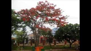Kỉ niệm Lớp 9/1 THCS Long Bình 2009 - 2013 Phần 2