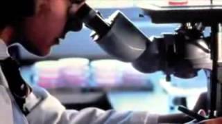 Carne, pesce, uova e latte uccidono - Mangiare proteine animali causa malattia