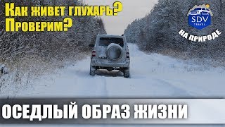 ОХОТА / В ПОИСКАХ ГЛУХАРЯ / ЗНАКОМСТВО С ОБРАЗОМ ЖИЗНИ ПТИЦЫ