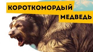 ? Про вымерших животных | Гигантский короткомордый медведь | Наука для школьников | Семен Ученый