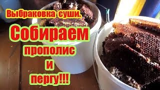 ???2020 г. ВЫРЕЗАЕМ ВОСКОВУЮ СУШЬ НА ВЫБРАКОВКУ И СОБИРАЕМ ПРОПОЛИС С ПЕРГОЙ.