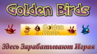 Как заработать 80 тысяч в неделю на Money Birds (Мани Бердс) - секреты, фишки, практические советы!
