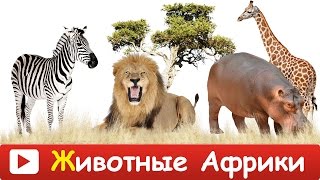 ► ЖИВОТНЫЕ АФРИКИ для Детей и малышей. Дикие Животные. Животные для самых маленьких. Обучающее видео