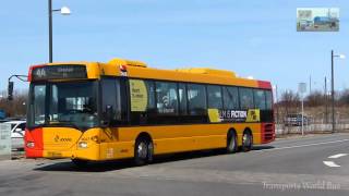 Copenhagen Bus MOVIA - ARRIVA