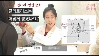 [언니네 성상담소]클리토리스를 그려봅시다