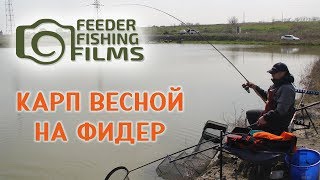 Ловля весеннего карпа с Алексеем Фадеевым