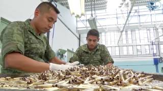 Como se fabrican las Balas en México | Balacera 2016