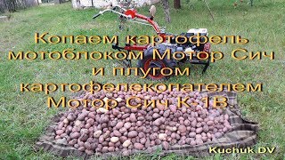 Мотоблок Мотор Сич+картофелекопатель К-1В.
