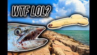 I bought The MOST BIZARRE Wish.com Fishing lure! SURPRISING RESULTS
