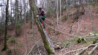 abattre un arbre penché du mauvais côté à l'aide d'un treuil thermique portable