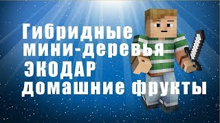 Плодовые Деревья В Горшках
