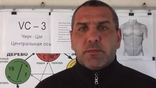 Женские половые органы.