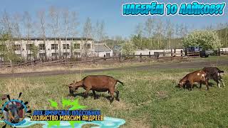 Седимин хорош