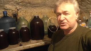 Домашняя вино из слив, сливовица-продолжение в 2019 году.