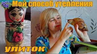 Простые и дешёвые способы утепления улиток ахатин и архахатин осенью,когда нет отопления.