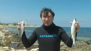 Отчет семинара по подводной охоте в море клуба Катранган Севастополь 2017