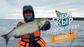 Ловля трофейного жереха на Волге. Рыбалка август 2015. Втрой сезон, 2 серия.