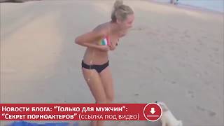 Собака стянула Лифон! МУЖСКИЕ приколы