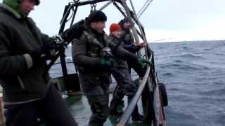 Рыбалка в Баренцевом море - 4. На Кильдине.