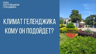 Погода в Геленджике. Кому подходит климат Геленджика? | Переезд в Геленджик