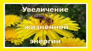 УВЕЛИЧЕНИЕ ЖИЗНЕННОЙ ЭНЕРГИИ - запись вебинара Любови Пятилетовой