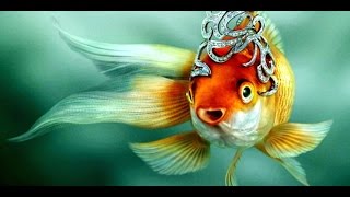 ИСПОЛНЕНИЕ ЖЕЛАНИЙ С ВЫСОКОЙ ТОЧНОСТЬЮ-КАК НЕ СГЛАЗИТЬ? Марина Сугробова