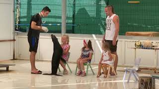 Представление морского котика для детей | дельфинарий | dolphinarium | fur seal dance for kids