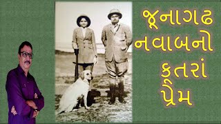 Nawab ? Dog Love - By Dr.Praduman Khachar