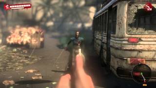 Dead Island  (AMD Radeon(TM) R5 graphics, laptop)