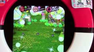 ポケモントレッタ　フェス1弾　レジェンドミュウツー戦【みずべ】