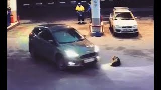 Под Раменским дважды сбили бездомного пса - чудовищные кадры жестокости и безразличия