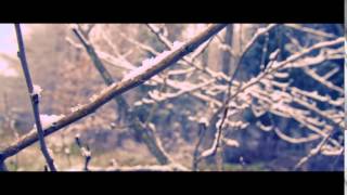 Canon 60d MLV Raw footage